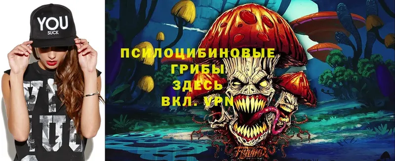 мориарти телеграм  Стерлитамак  Галлюциногенные грибы Psilocybine cubensis 